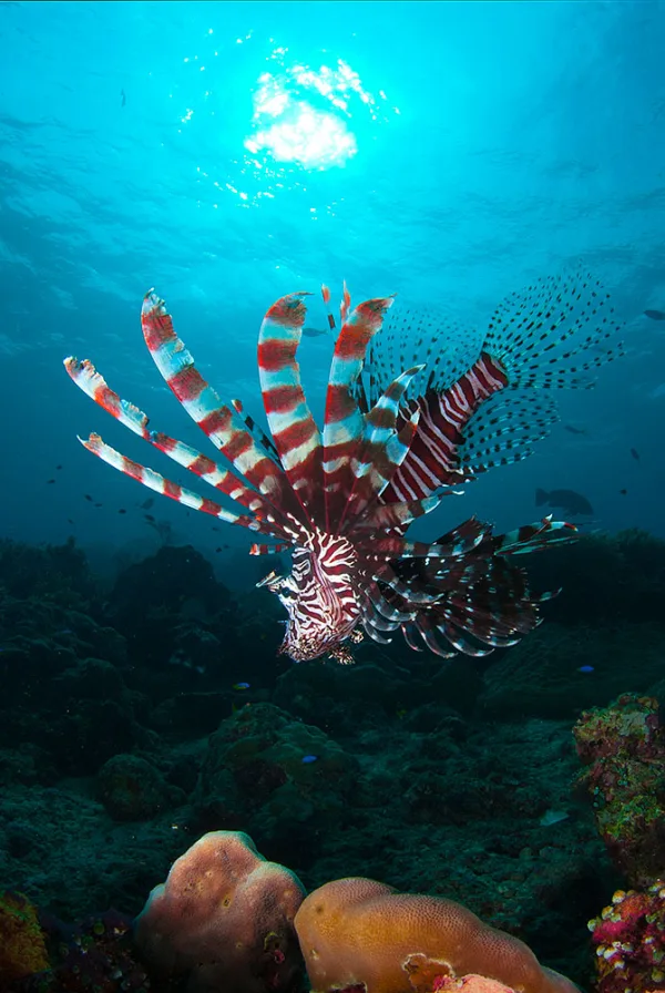 Indonesia – Raja Ampat