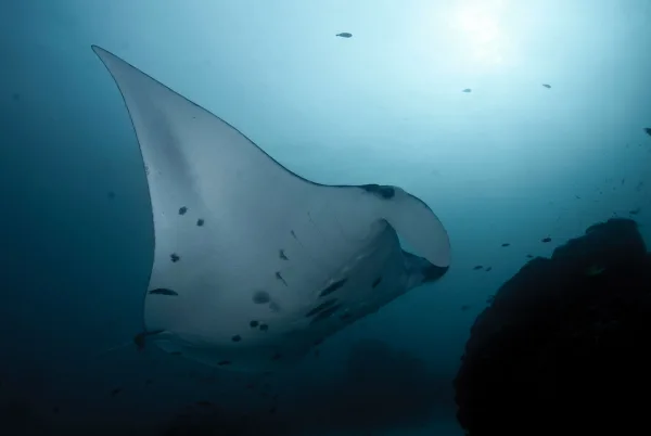 Indonesia – Raja Ampat