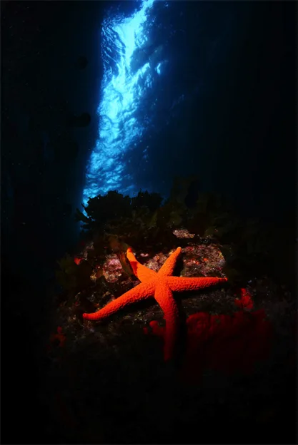 Turkiye – Kas / Cesme