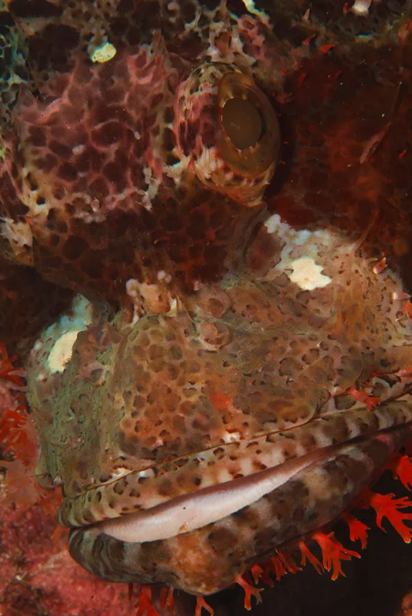 Indonesia – Raja Ampat