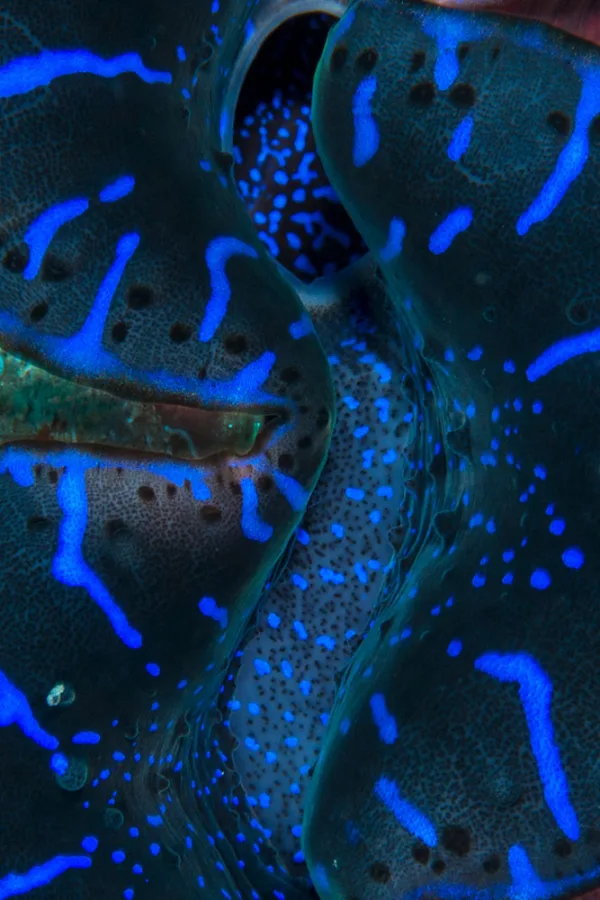 Palau