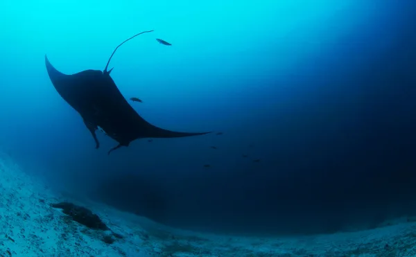 Indonesia – Raja Ampat