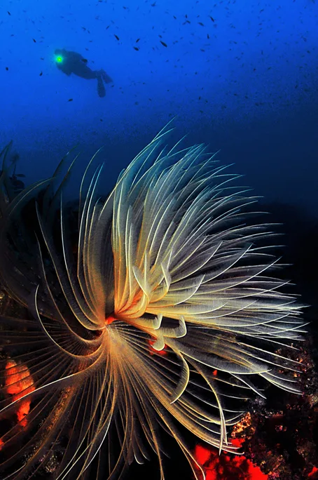 Turkiye – Bodrum