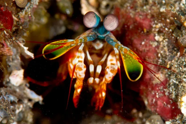 Indonesia – Raja Ampat